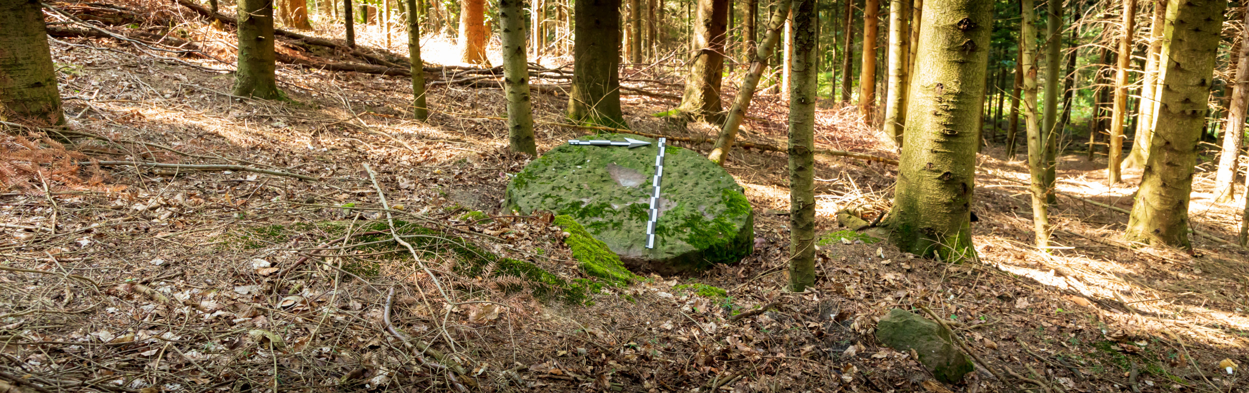Rohling eines Mühlsteins. Zeitzeugen der mittelalterlichen Mühlsteinproduktion im Kirnbachtal.
